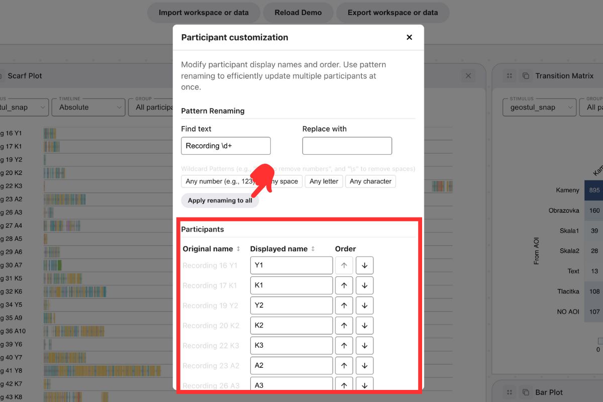Participant customization pattern renaming panel with regex-based find and replace fields.