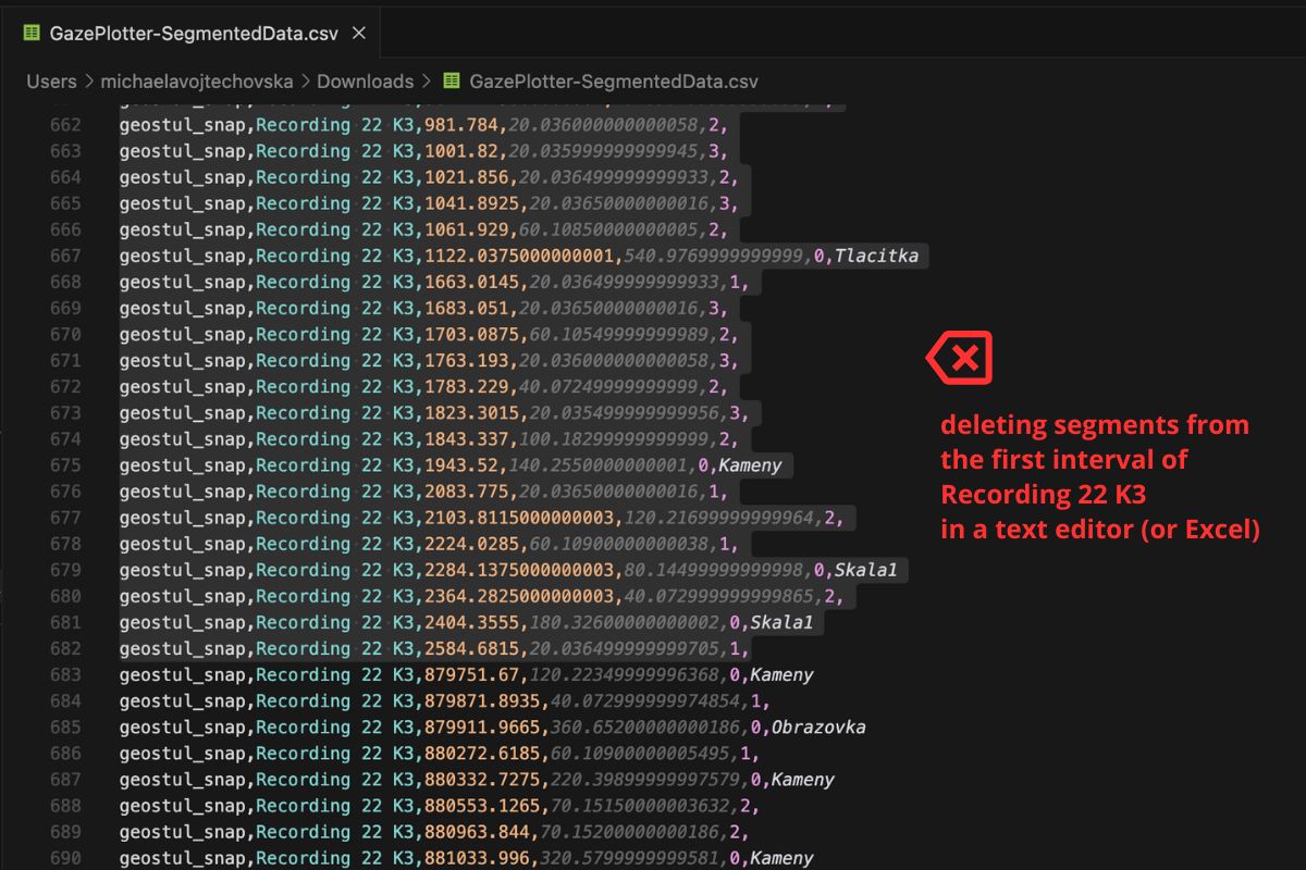 Segmented Data CSV before splitting one stimulus into multiple phases.